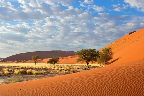 Must-See Places in Africa