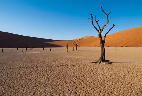 Sossusvlei Namib Desert National Park Namibia