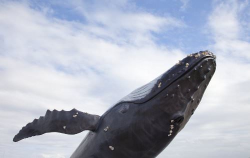 Orcas Island Washington State