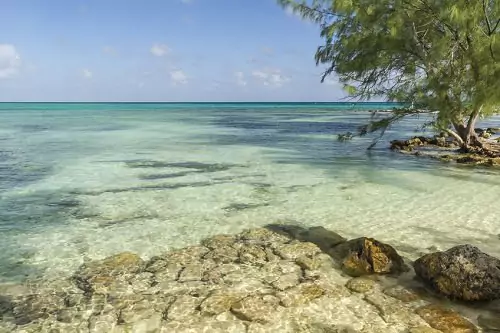 British Cayman Islands