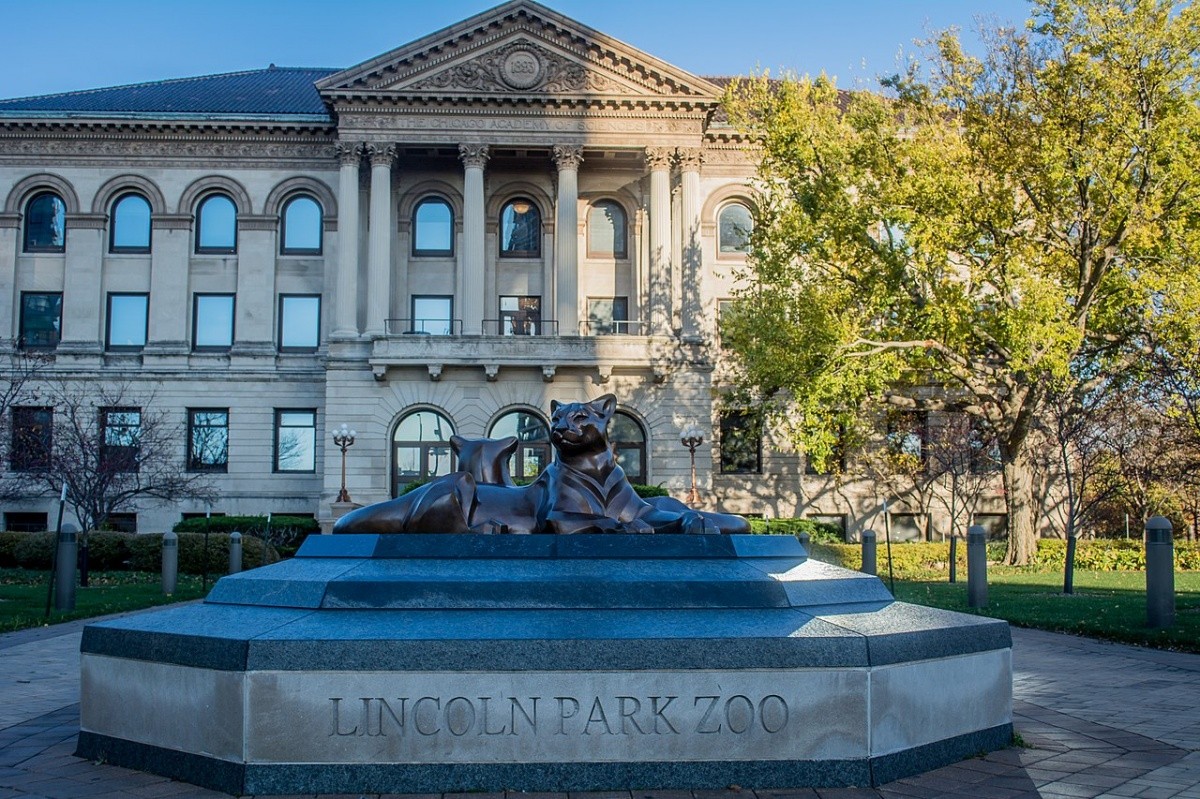 How to Explore Chicago for Free - Lincoln Park Zoo