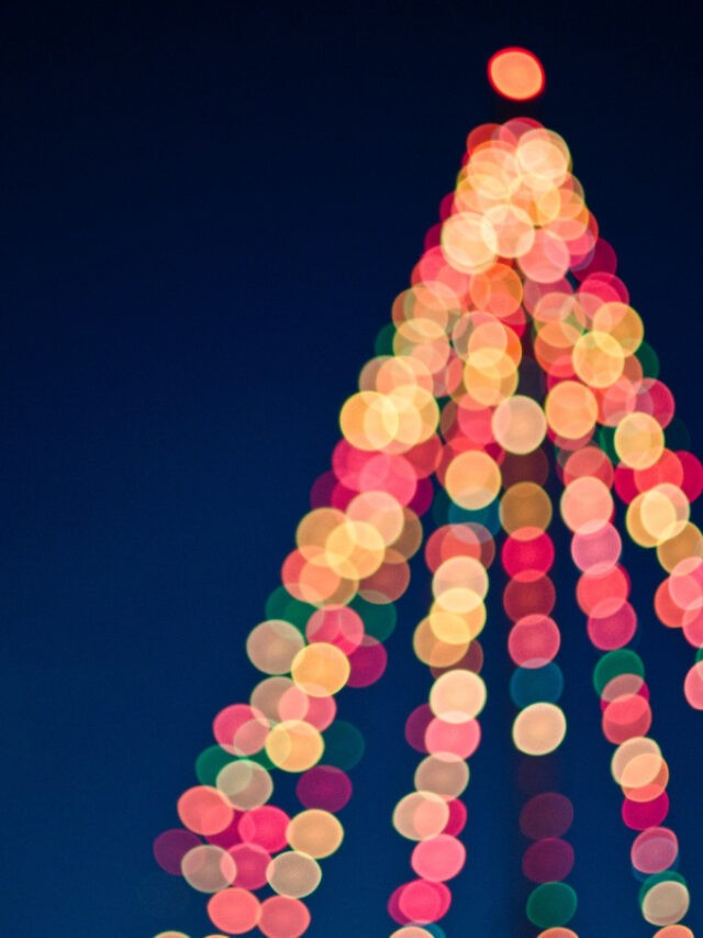 Things to Know About Franklin Christmas Tree Lighting