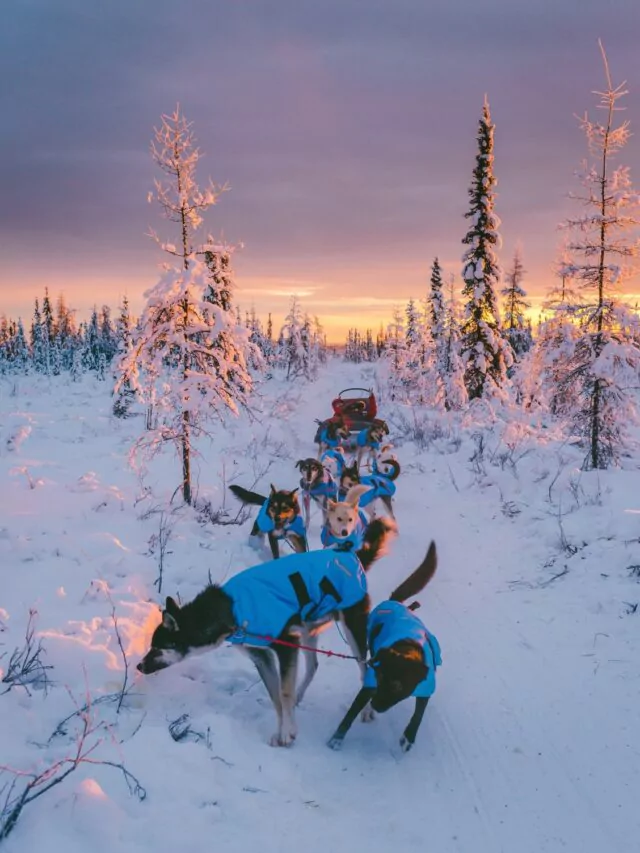 Family vacation in Alaska for Christmas holidays