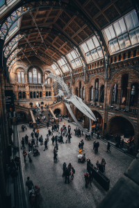 10 Best Museums in London