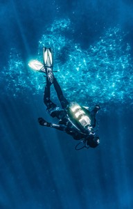 The Best Places for Scuba Diving in the USA 2023
