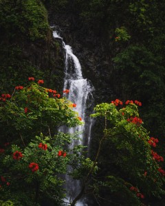 8 Best Waterfalls in Hawaii