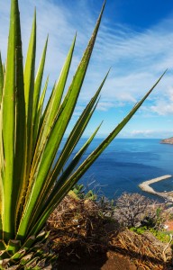 Madeira Island 2023