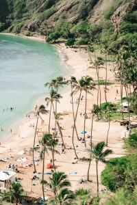 The 8 Best Beaches in Hawaii