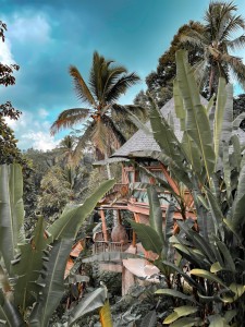 7 Best Honeymoon Resorts In Bali