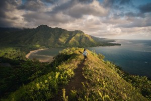 Top National and State Parks in Hawaii
