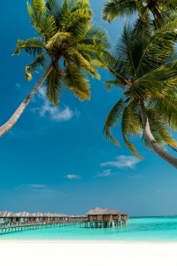 7 Best Things To Do In Maldives