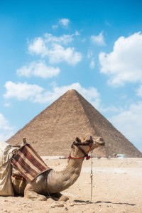 Coolest Things to Do in Egypt