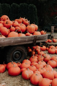 7 Best Fall Festivals in the United States