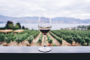Best California Wine Trails to Explore