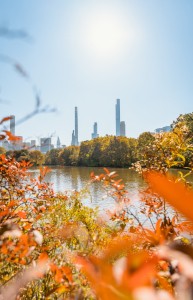 Best Places for Fall Foliage in New York