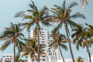The Best Budget Hotels in Miami Beach