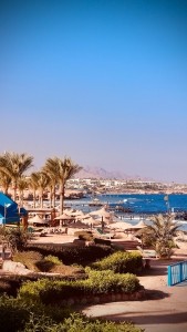Top-Rated Beaches in Egypt to Visit