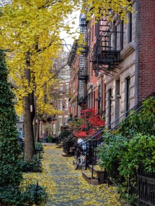 Top 7 Things To Do This Fall in New York