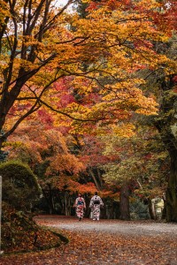 Top Fall Travel Destinations in Asia