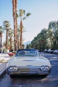 Top Things to Do Around Palm Springs