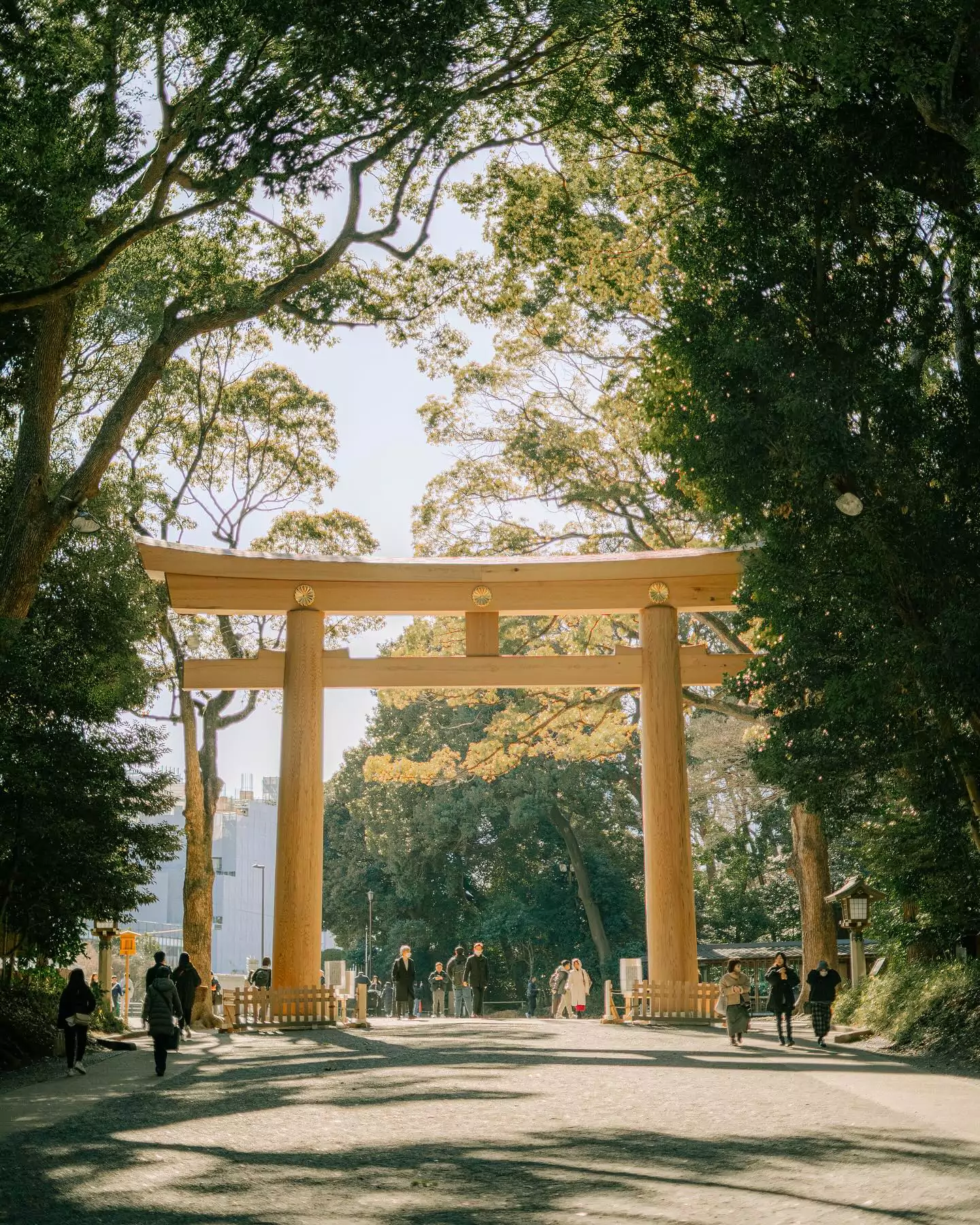Discover the Meiji Shrine