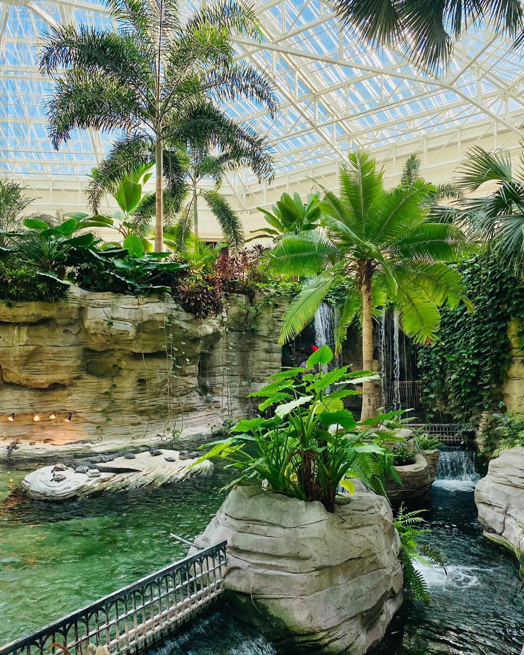 Gaylord Palms Resort & Convention Center, Kissimmee